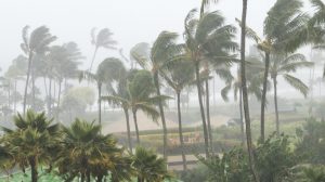Cyclone Asani got its name as the Andaman and Nicobar Islands prepare for it.