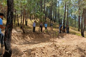 Find out how Trees+,  A Grow-Trees.com project that goes beyond afforestation is repairing Mukteshwar's rainfall pattern