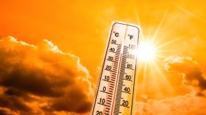 Teachers' groups in Delhi have asked the Department of Education to cancel summer camps due to the extreme heat.