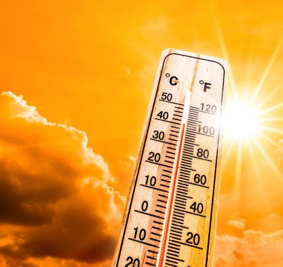 Teachers' groups in Delhi have asked the Department of Education to cancel summer camps due to the extreme heat.