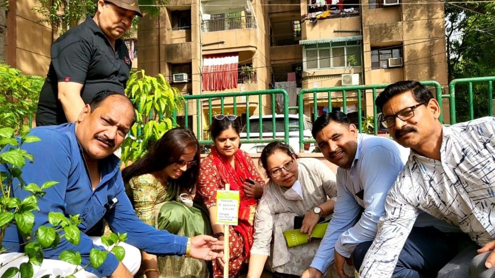 Smiling Tree conducts Plantation Drive at Ambedkar Medical College and Hospital