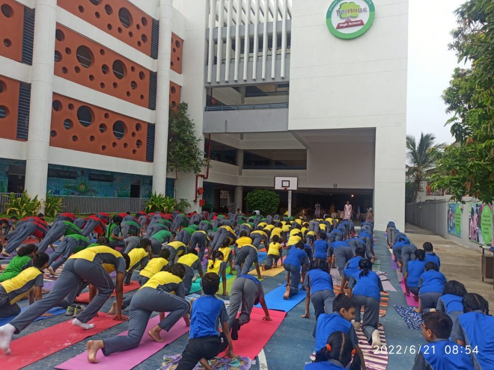 On International Day of Yoga, the TreeHouse chain of schools organised Yoga sessions for students  