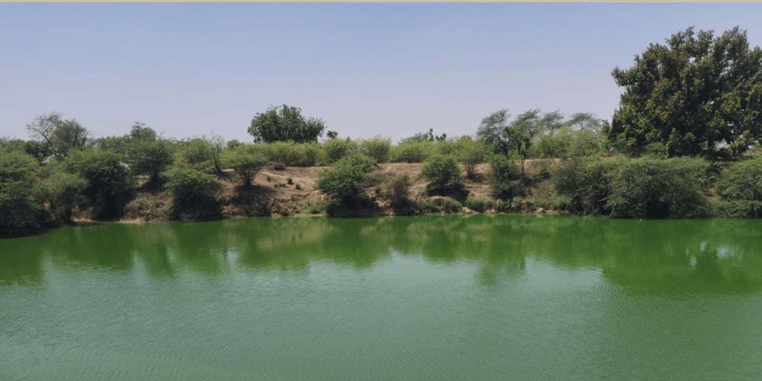 Siegwerk and Ashish Pradhan restore Pur Village pond in Rajasthan with INR 70 lakh CSR investment